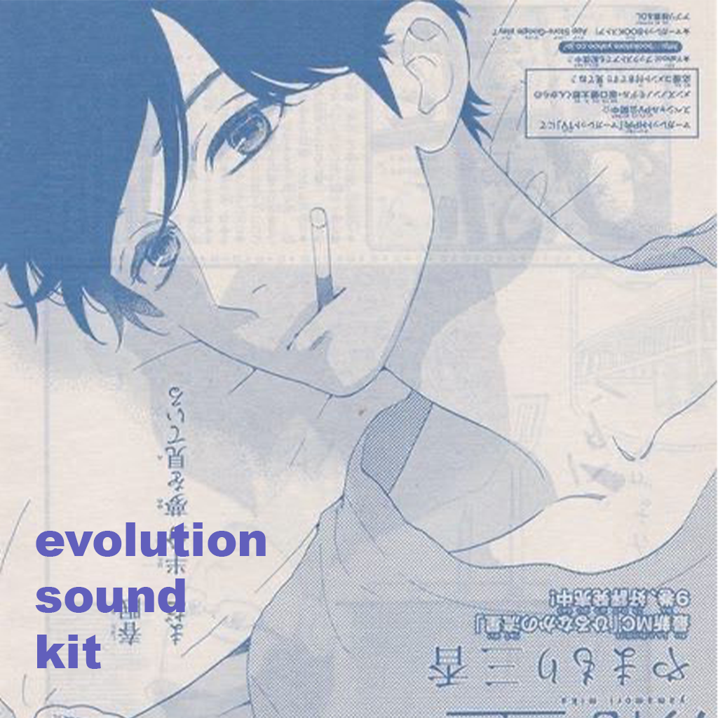 evolution sound kit